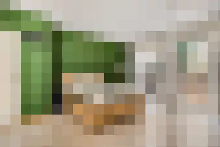 Maasbrachterweg 53 A Echt thumbnail 20