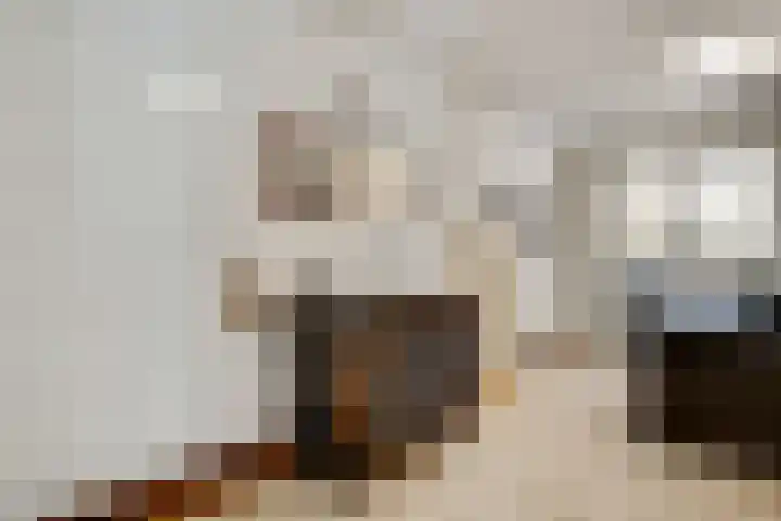 Maasbrachterweg 53 A Echt thumbnail 22