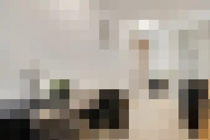 Maasbrachterweg 53 A Echt thumbnail 23