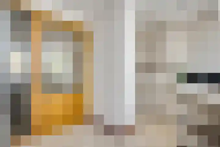 Maasbrachterweg 53 A Echt thumbnail 5
