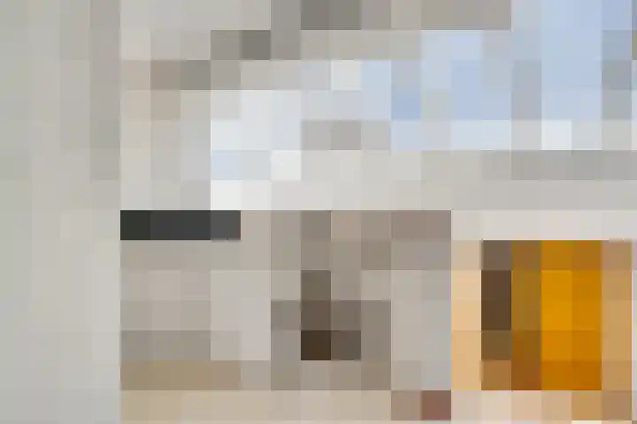 Maasbrachterweg 53 A Echt thumbnail 6