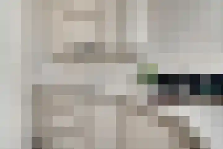 Maasbrachterweg 53 A Echt thumbnail 7