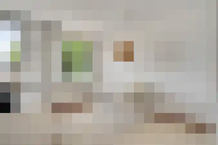 Maasbrachterweg 53 A Echt thumbnail 9