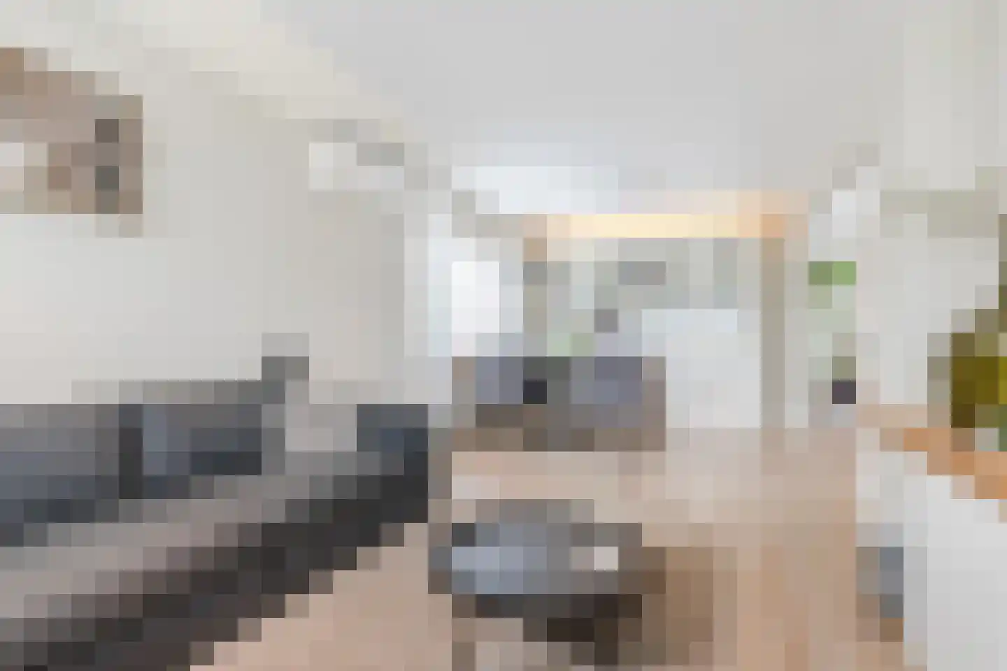Maasbrachterweg 55 Echt thumbnail 14