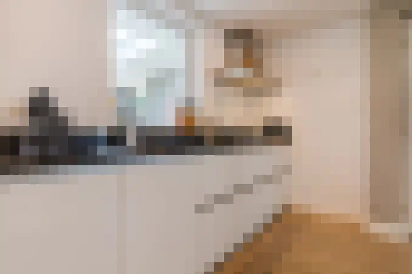 Maasbrachterweg 55 Echt thumbnail 19