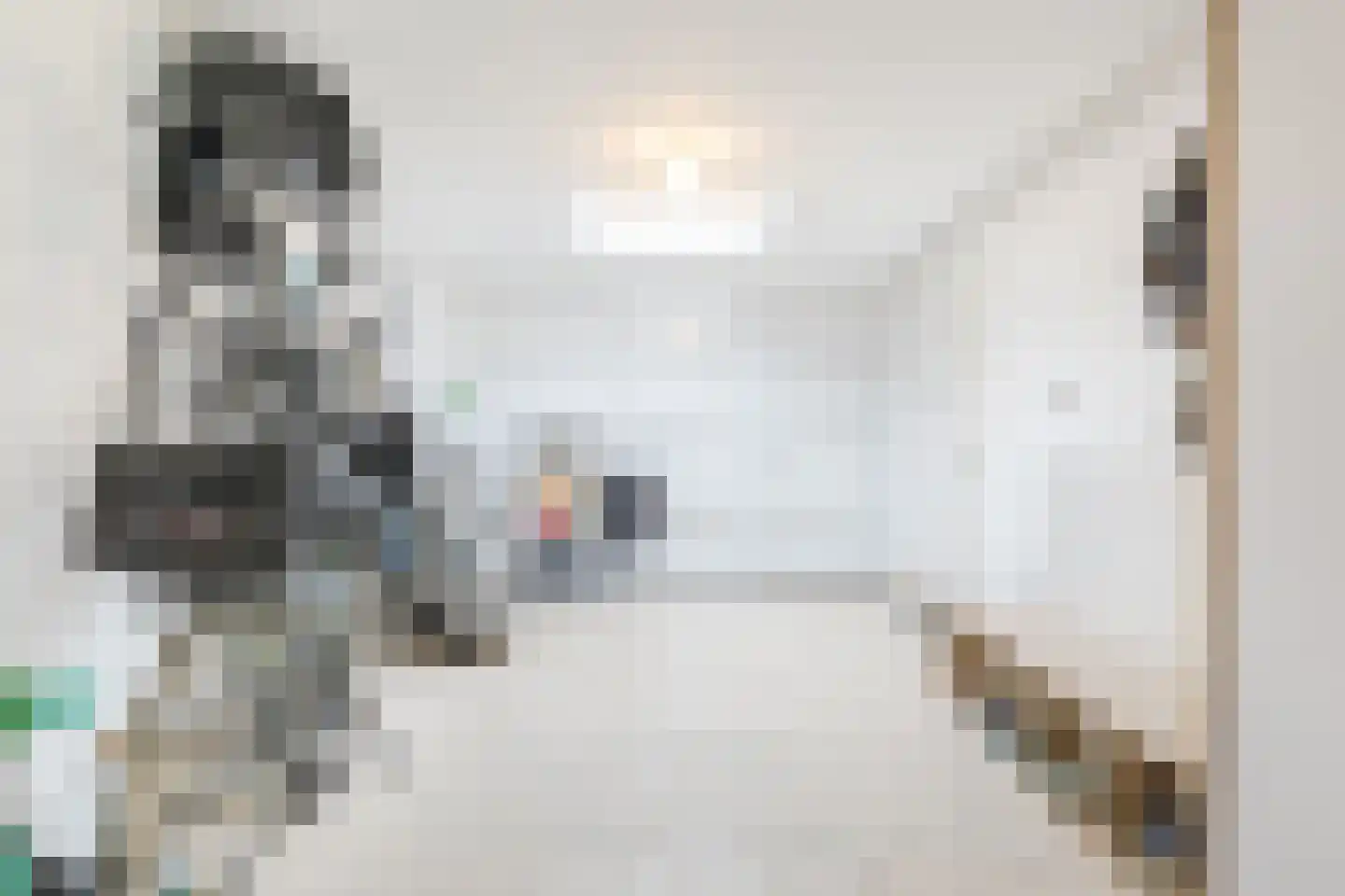 Maasbrachterweg 55 Echt thumbnail 25