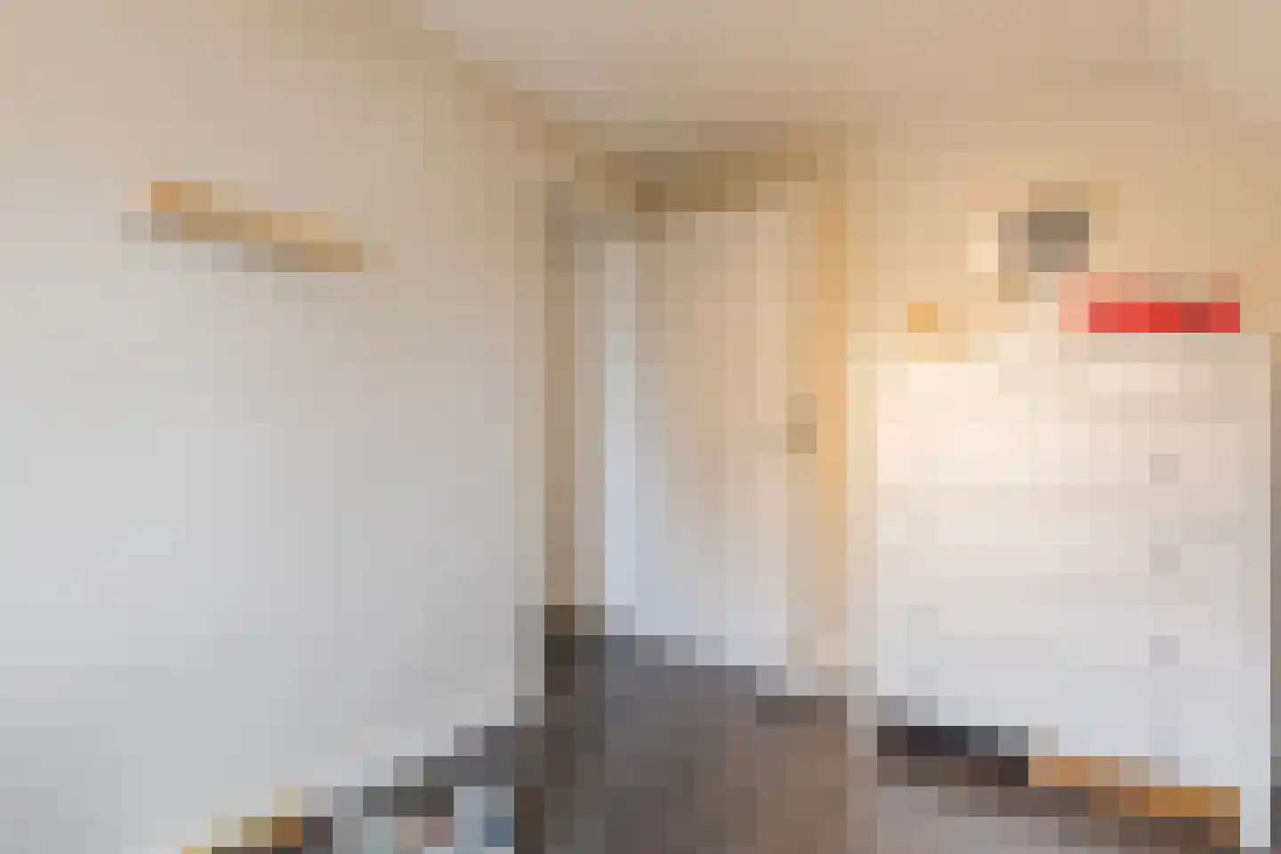 Maasbrachterweg 55 Echt thumbnail 32