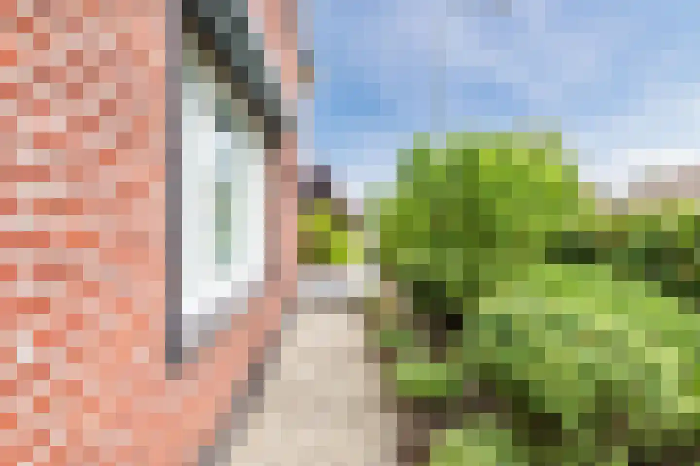 Maasbrachterweg 55 Echt thumbnail 9