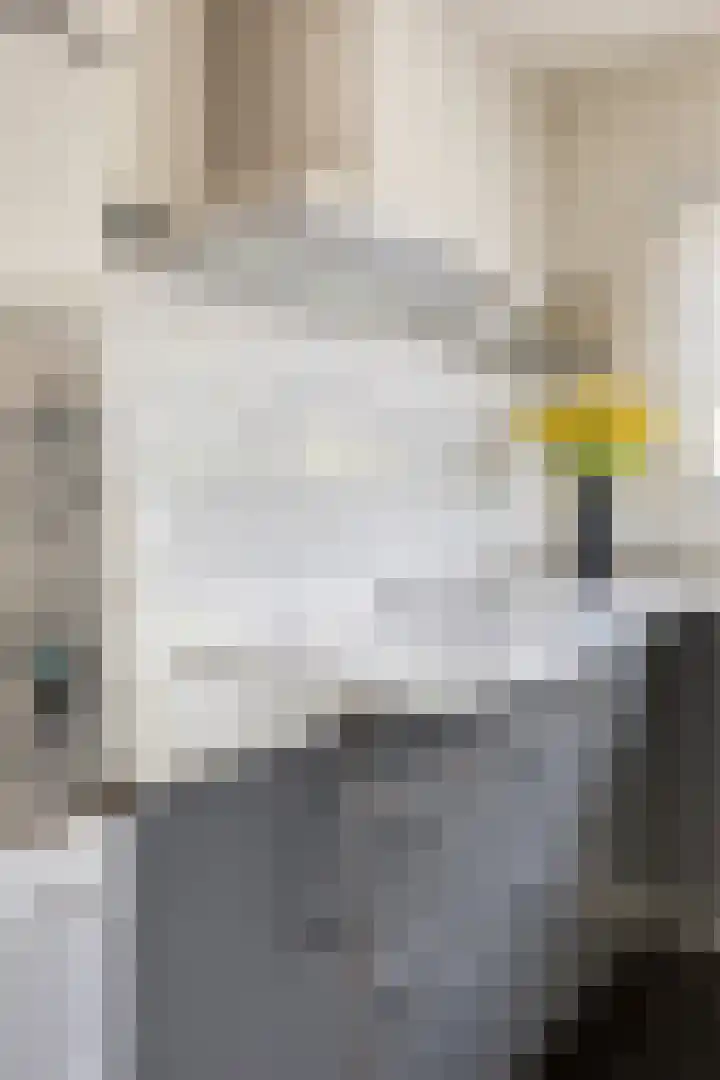 Maasbrachterweg 62 Linne thumbnail 12