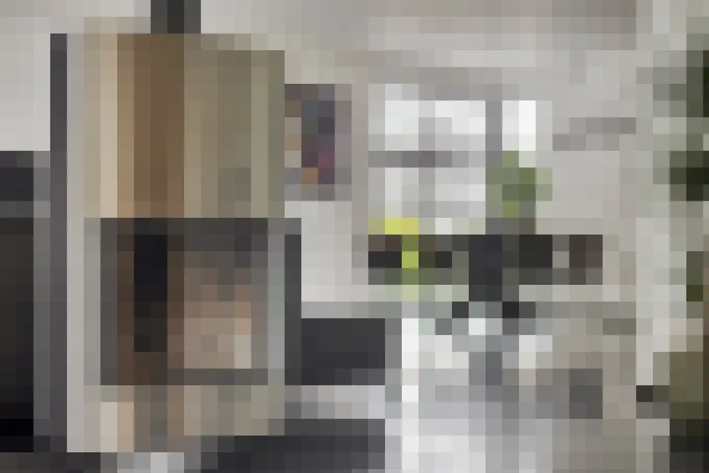 Maasbrachterweg 62 Linne thumbnail 12