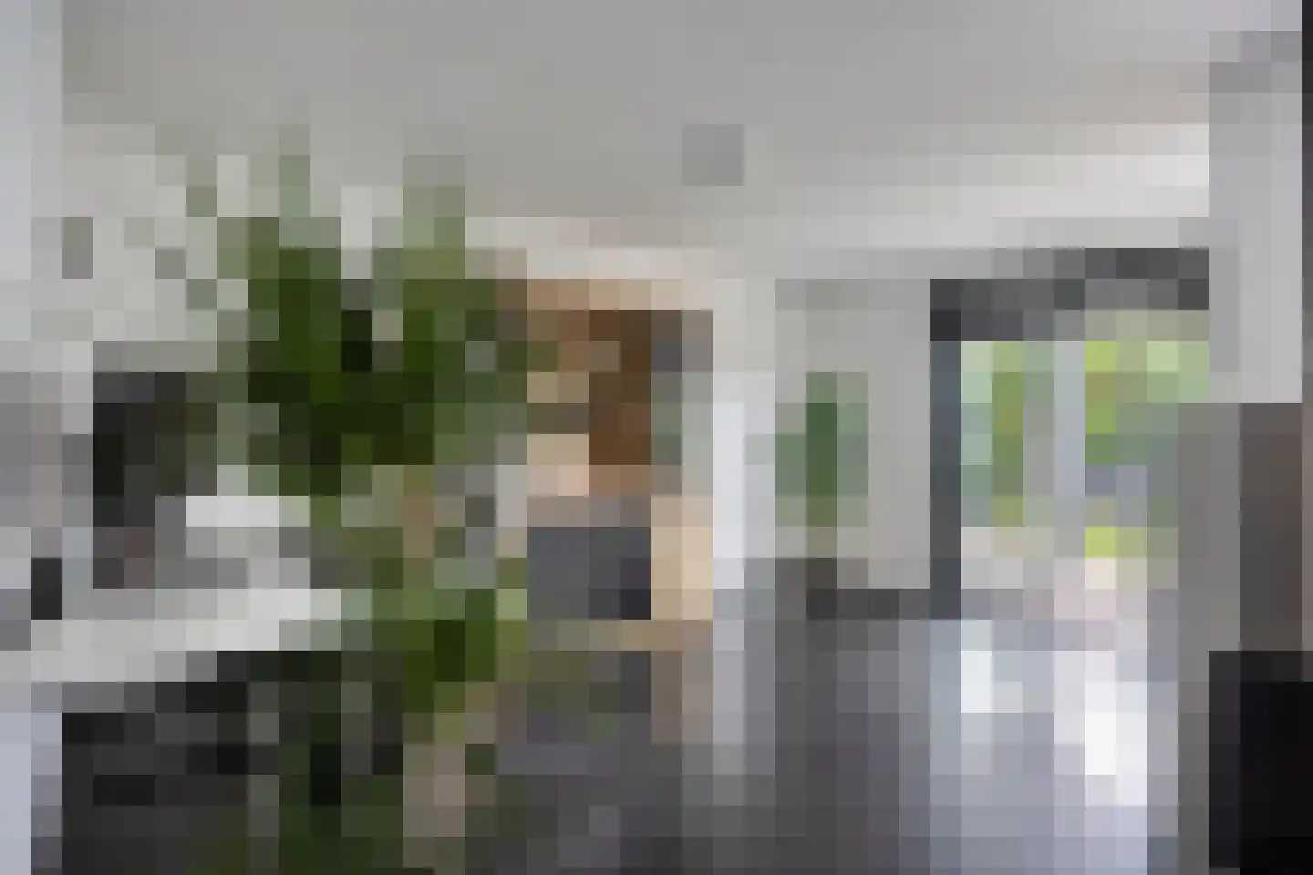 Maasbrachterweg 62 Linne thumbnail 13