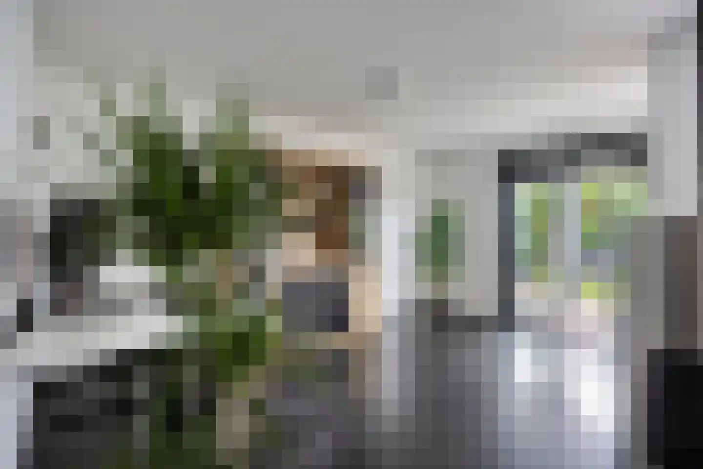 Maasbrachterweg 62 Linne thumbnail 13