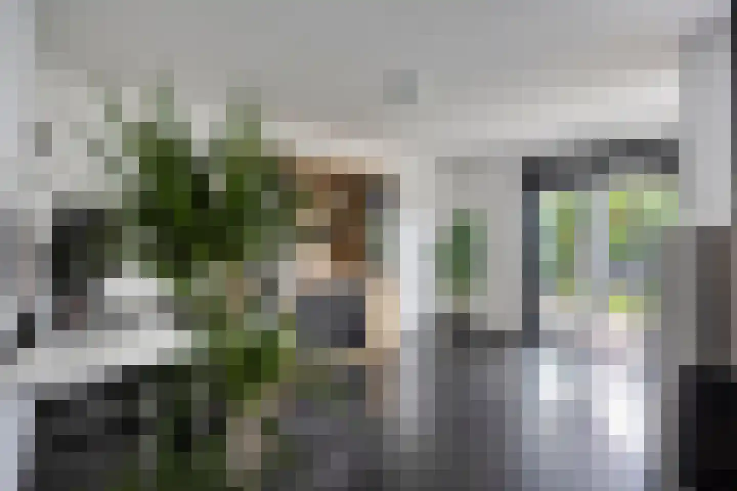 Maasbrachterweg 62 Linne thumbnail 14