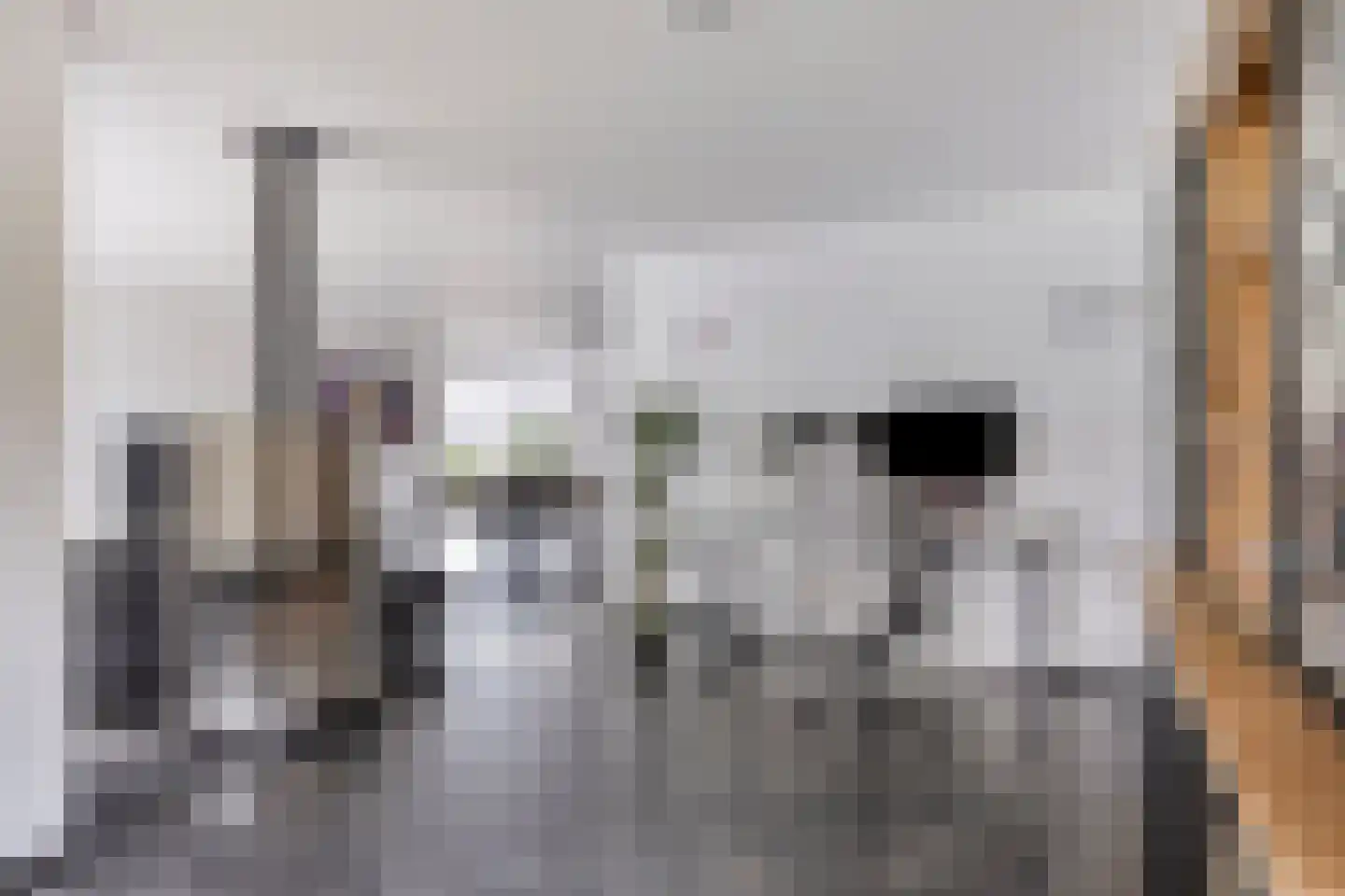 Maasbrachterweg 62 Linne thumbnail 14