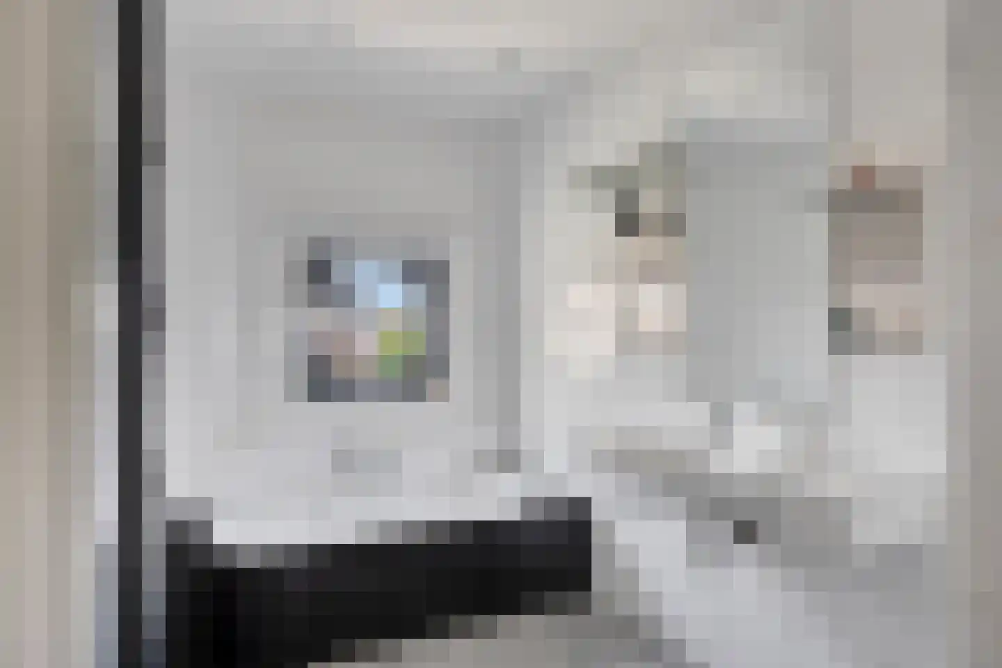 Maasbrachterweg 62 Linne thumbnail 22