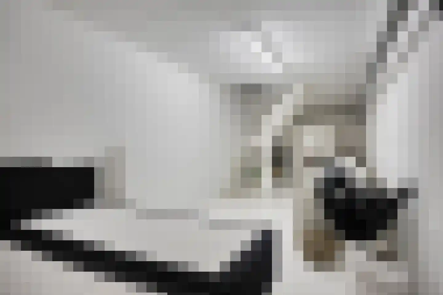 Maasbrachterweg 62 Linne thumbnail 25