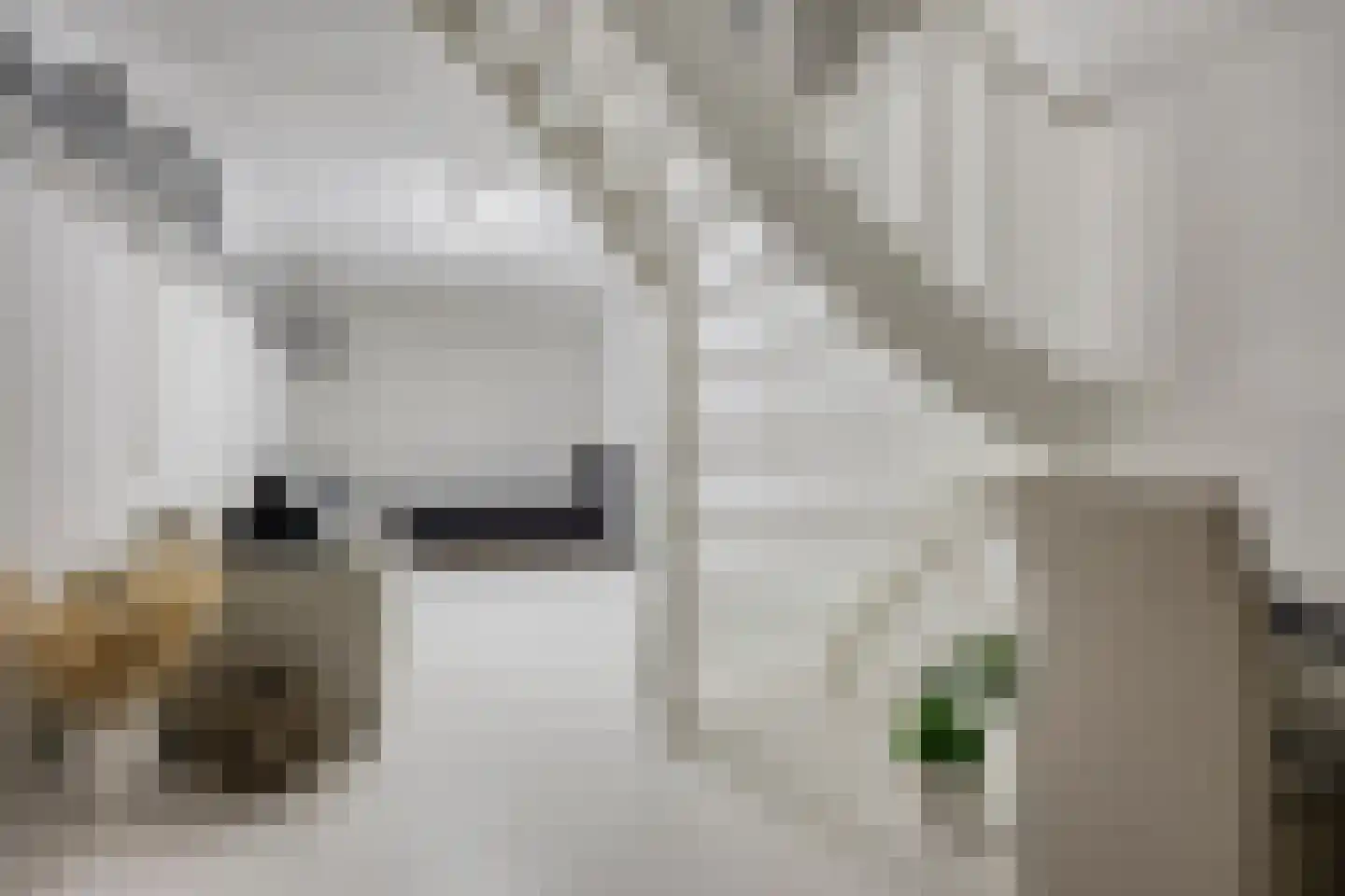 Maasbrachterweg 62 Linne thumbnail 26