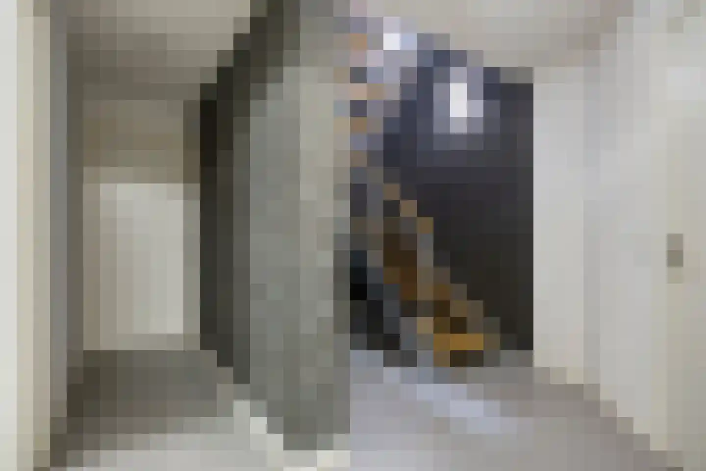 Maasbrachterweg 62 Linne thumbnail 27