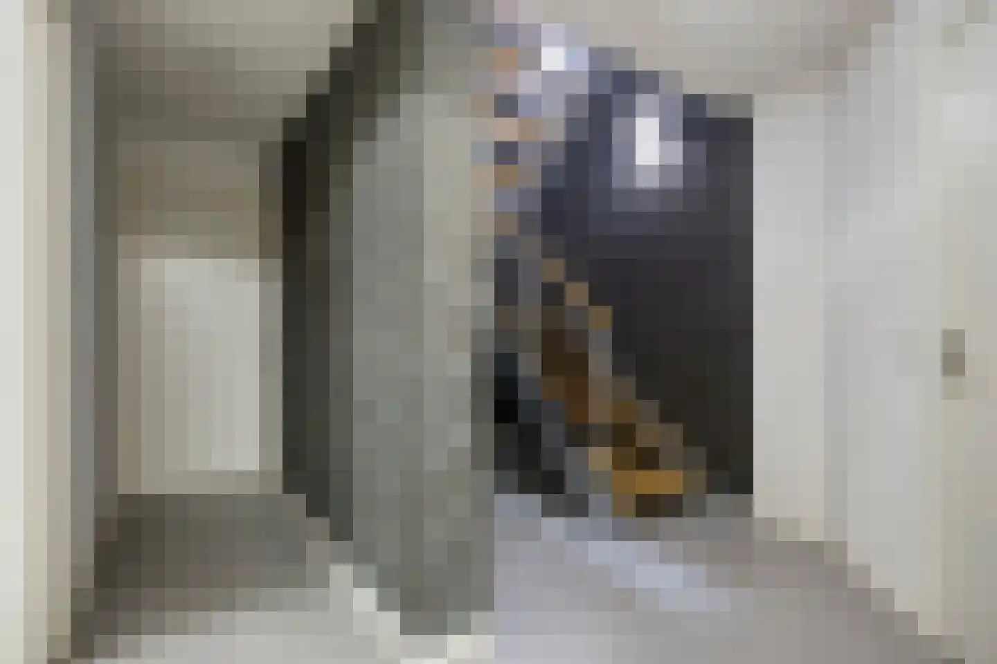 Maasbrachterweg 62 Linne thumbnail 27