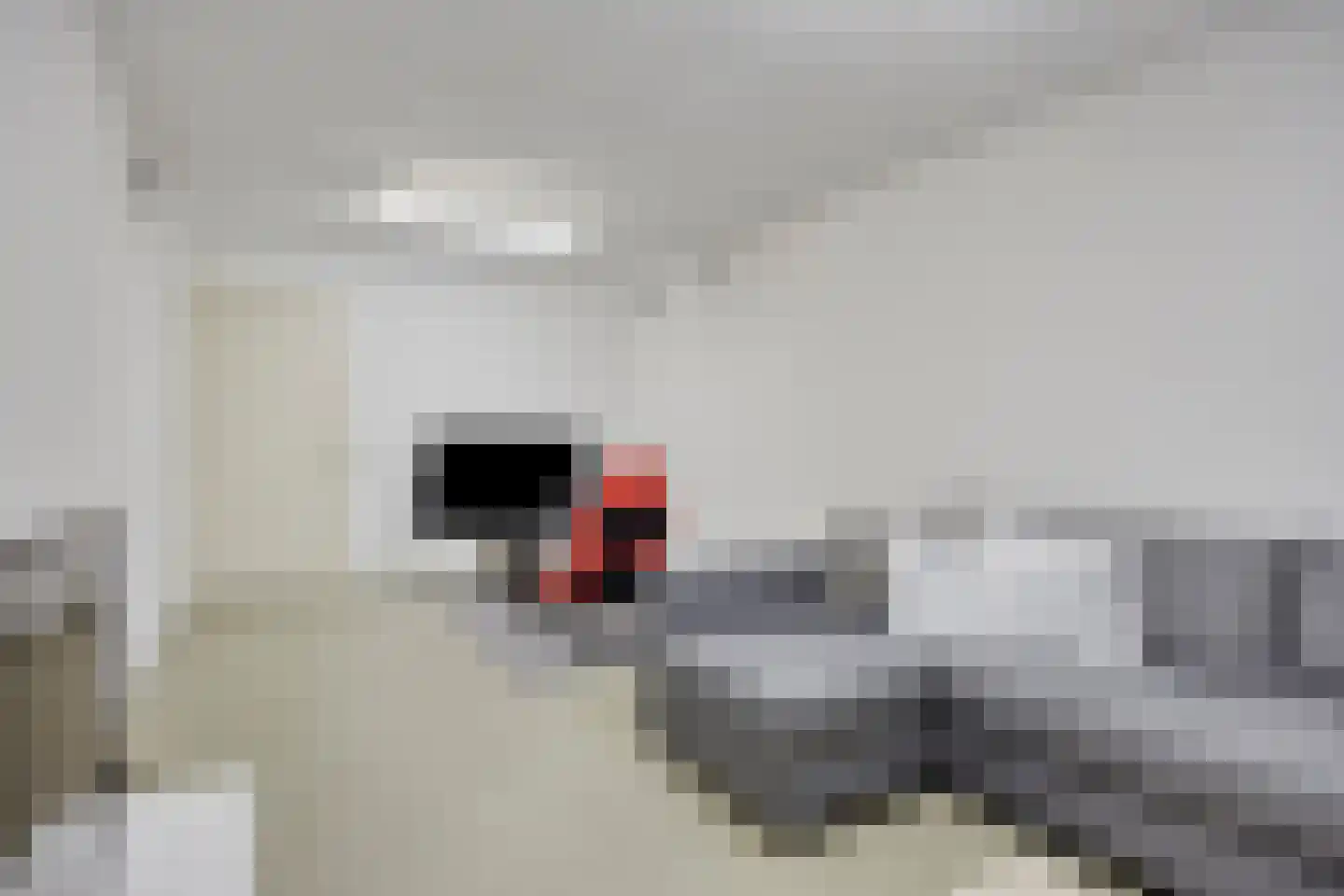 Maasbrachterweg 62 Linne thumbnail 28