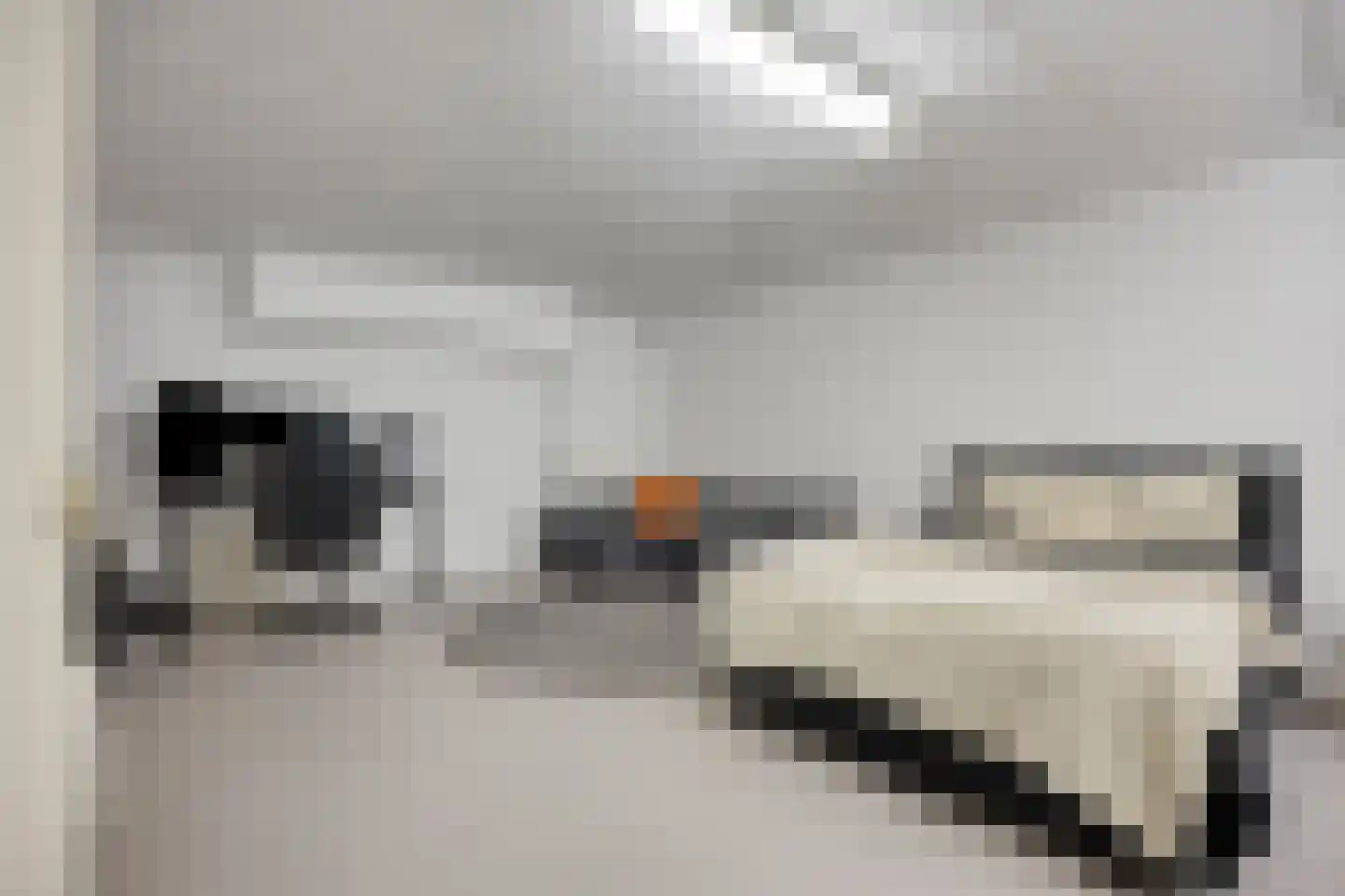 Maasbrachterweg 62 Linne thumbnail 29