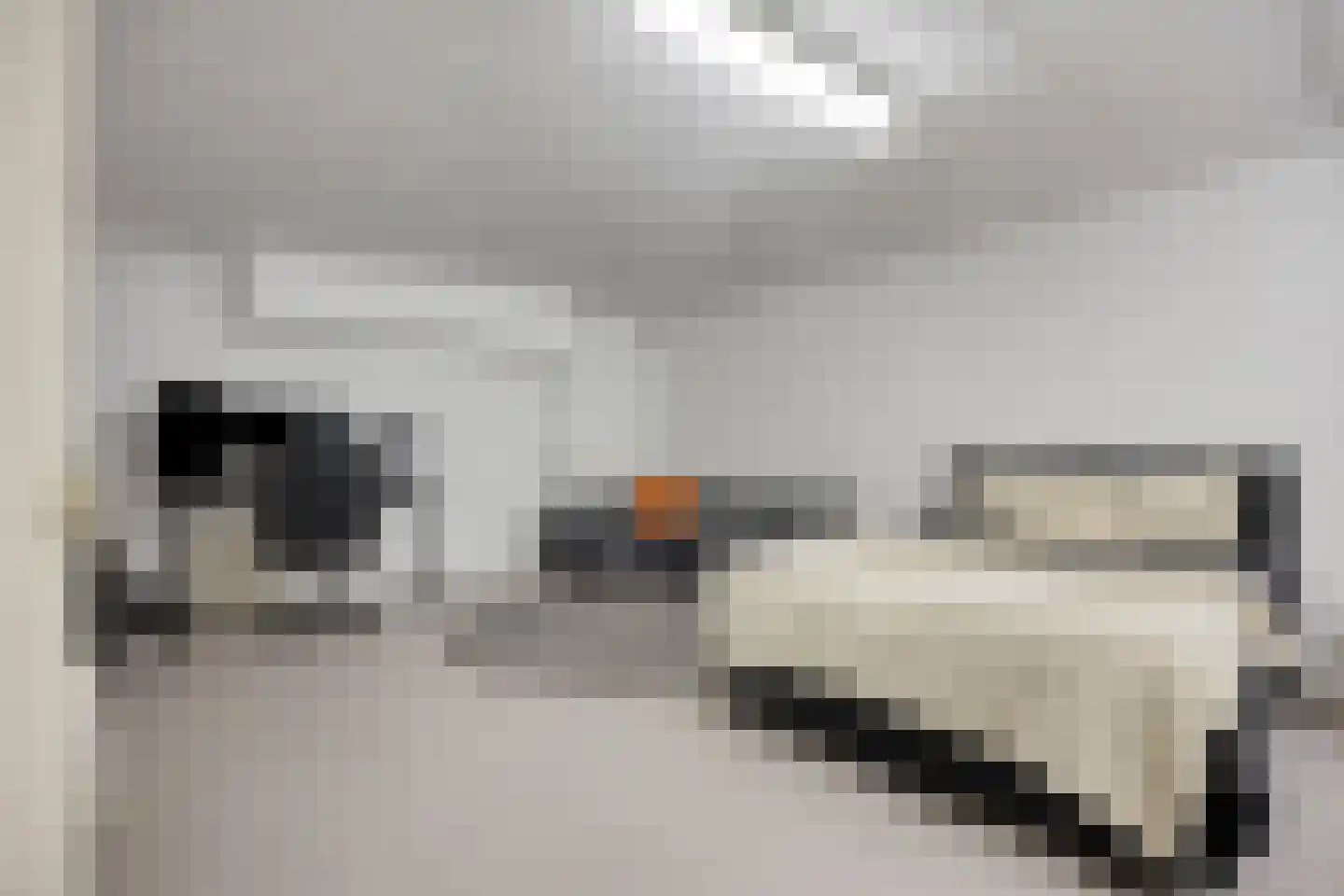 Maasbrachterweg 62 Linne thumbnail 29