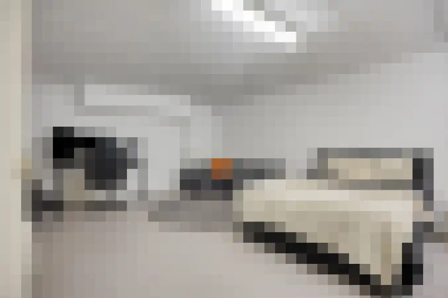 Maasbrachterweg 62 Linne thumbnail 29