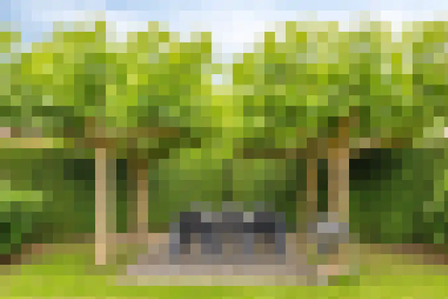 Maasbrachterweg 62 Linne thumbnail 33