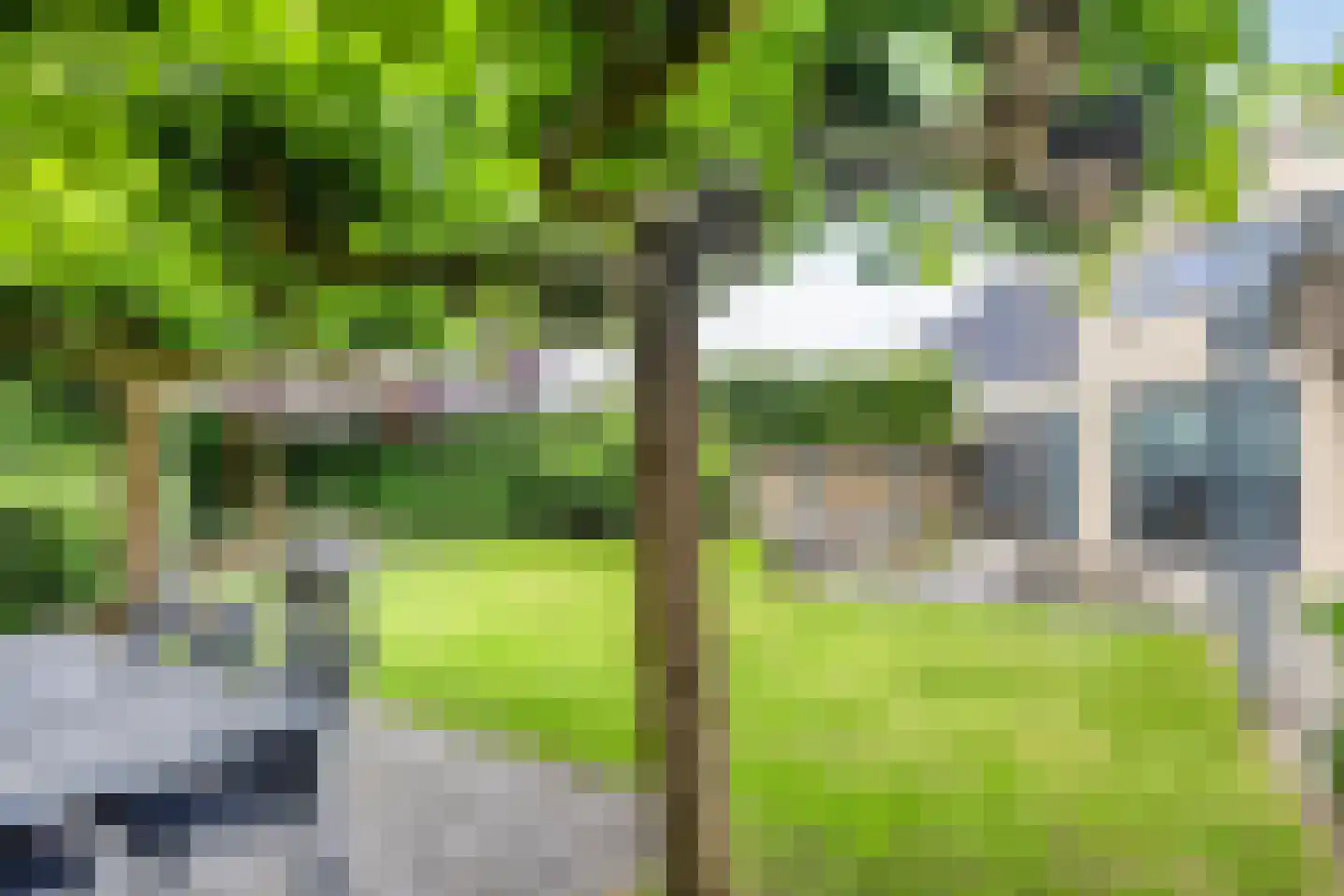 Maasbrachterweg 62 Linne thumbnail 34
