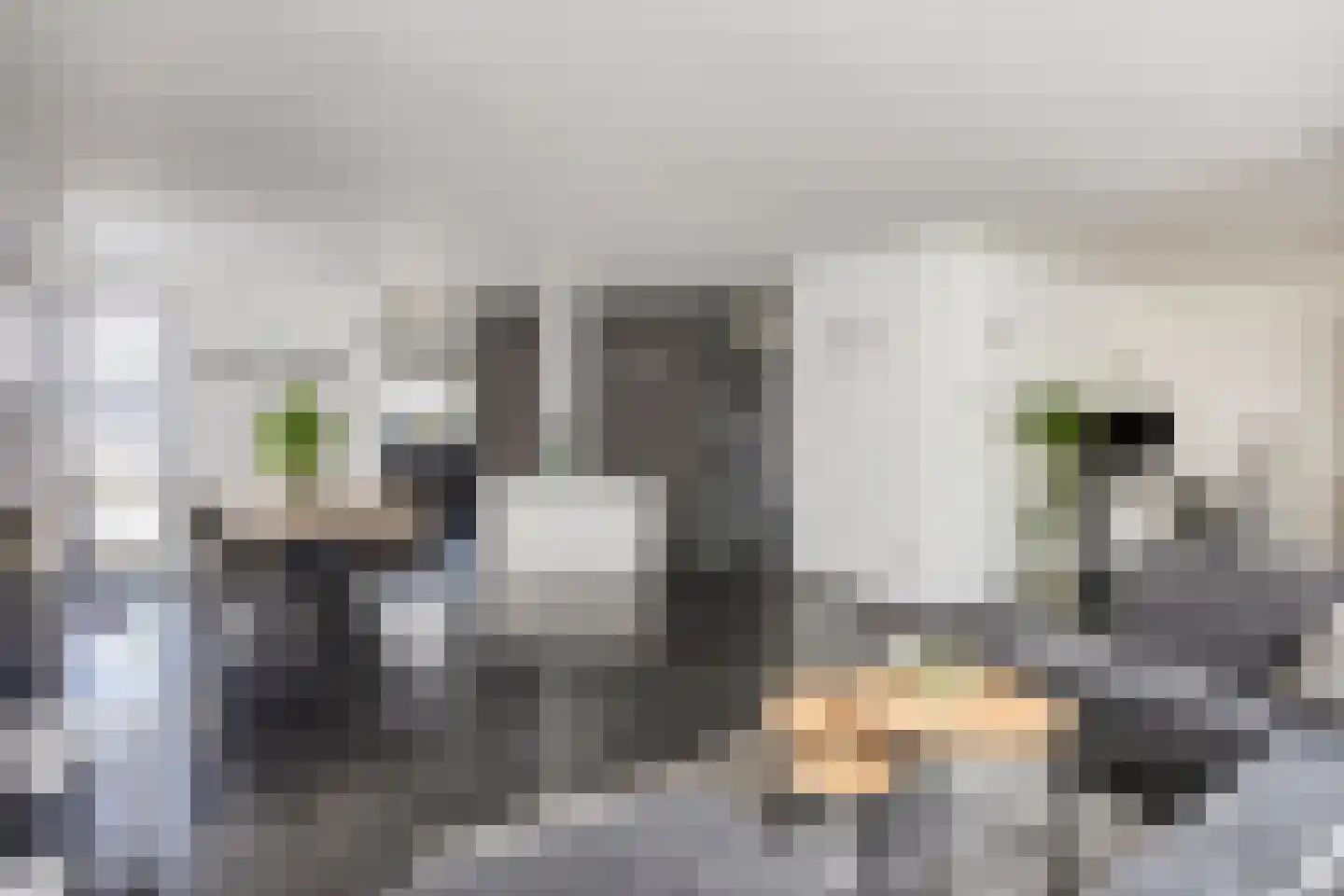 Maasbrachterweg 62 Linne thumbnail 6