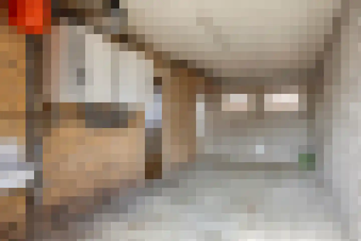 Maasbrachterweg 65 Linne thumbnail 26