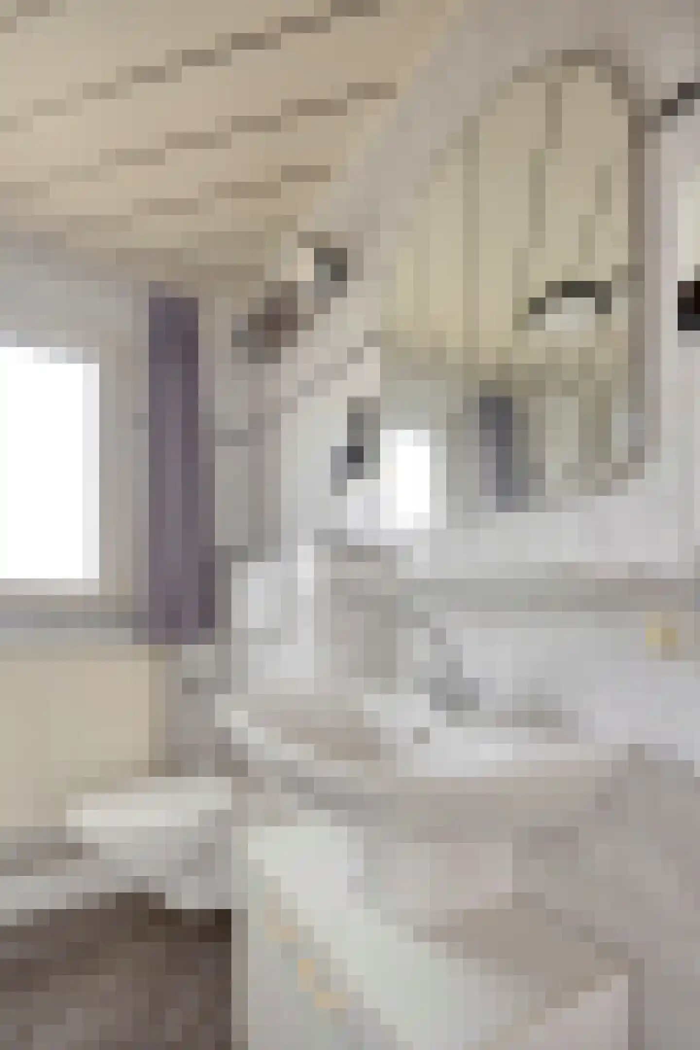Maasbrachterweg 65 Linne thumbnail 35