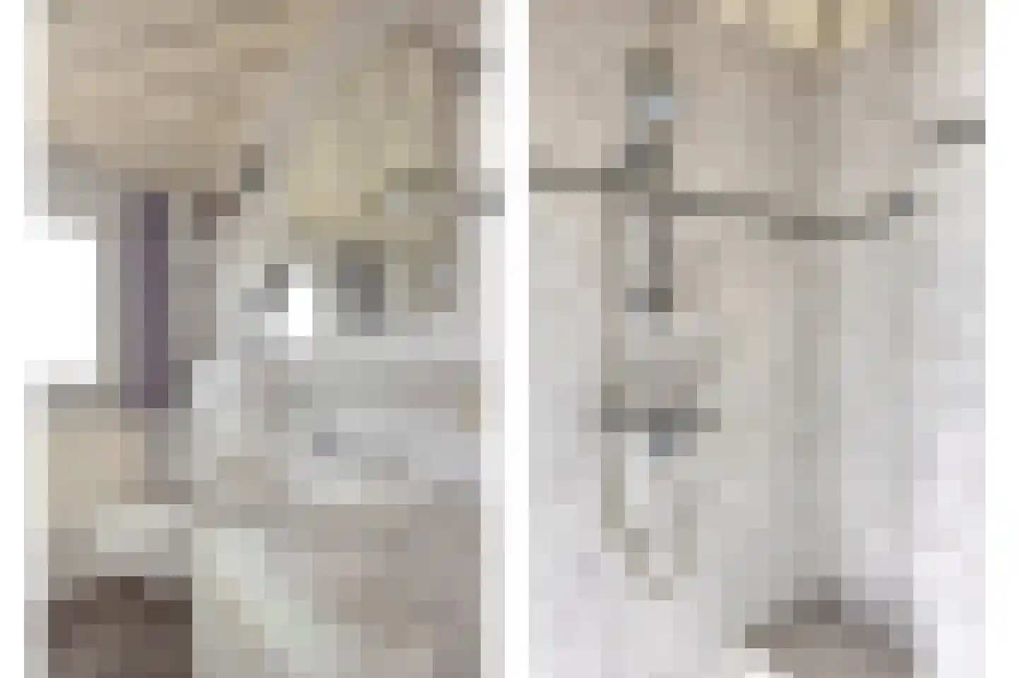 Maasbrachterweg 65 Linne thumbnail 36