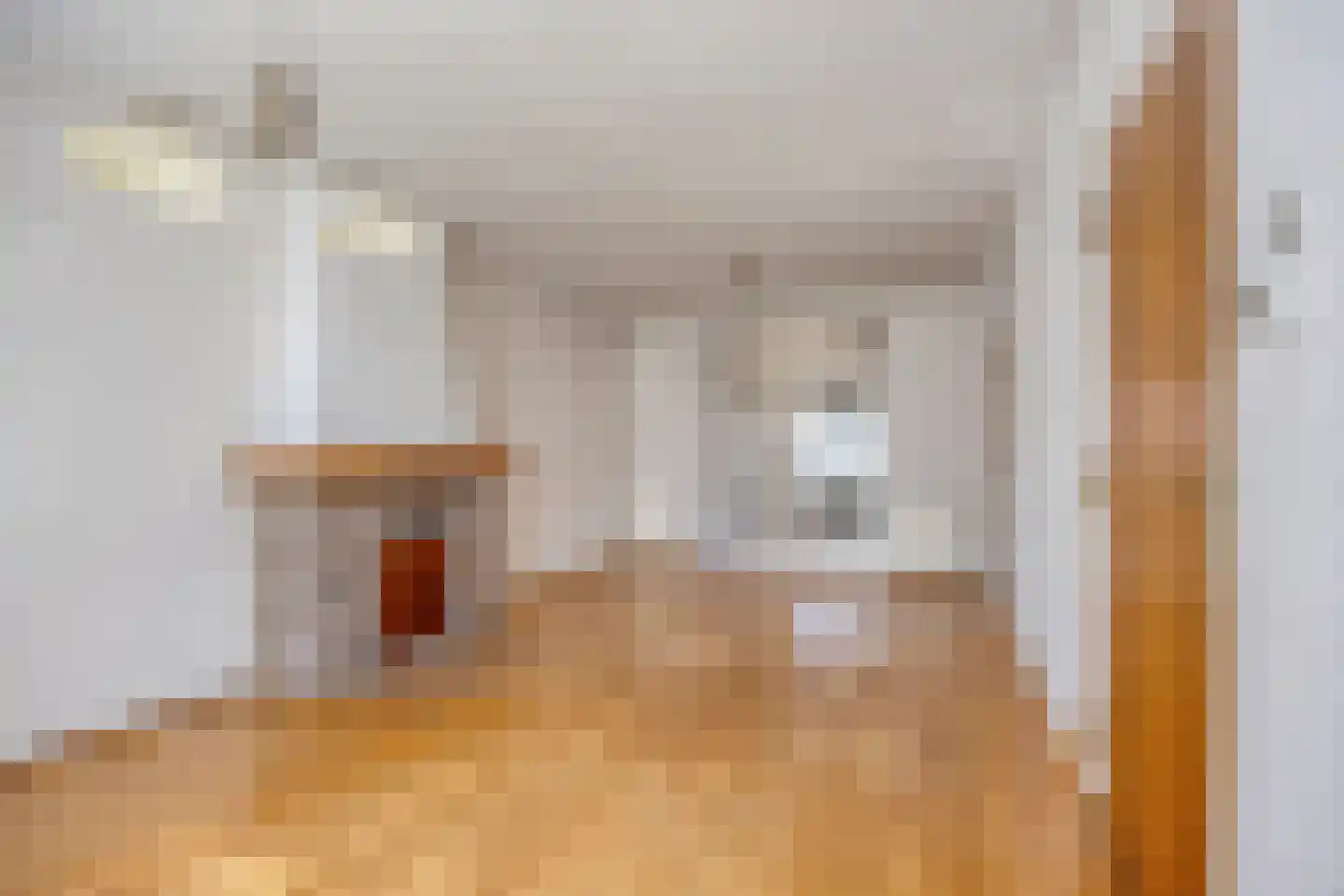 Maasbrachterweg 65 Linne thumbnail 8