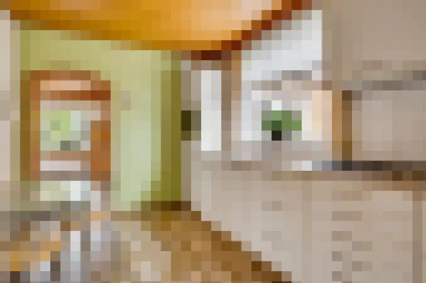 Maasbrachterweg 75 Linne thumbnail 10