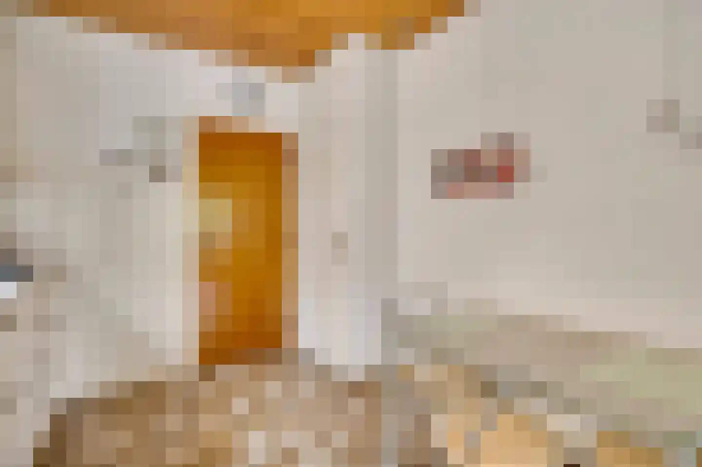Maasbrachterweg 75 Linne thumbnail 11