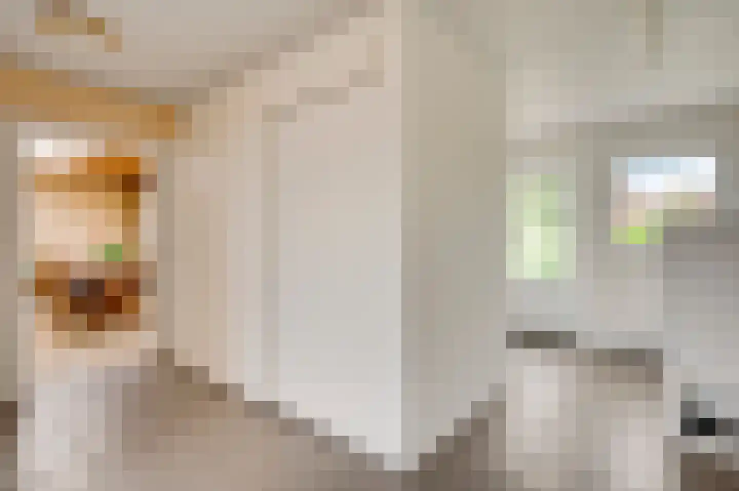 Maasbrachterweg 75 Linne thumbnail 21