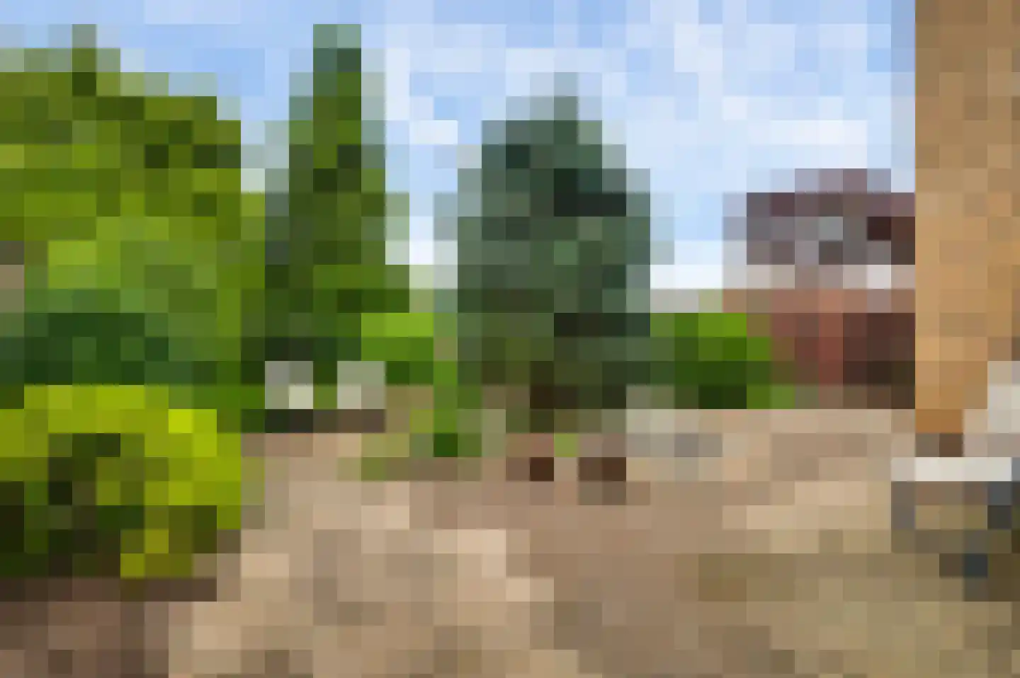 Maasbrachterweg 75 Linne thumbnail 34