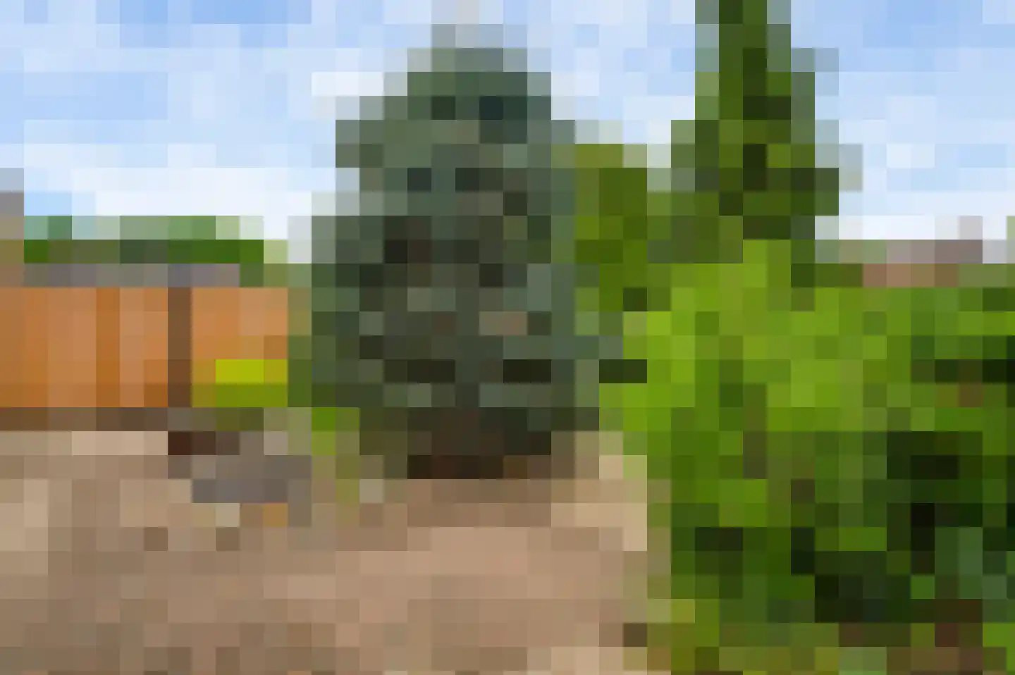 Maasbrachterweg 75 Linne thumbnail 35
