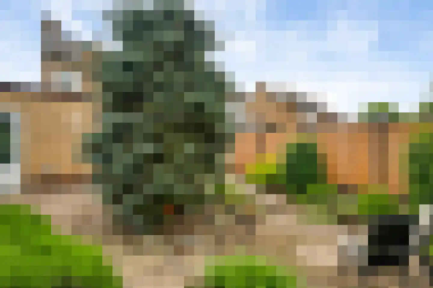 Maasbrachterweg 75 Linne thumbnail 36
