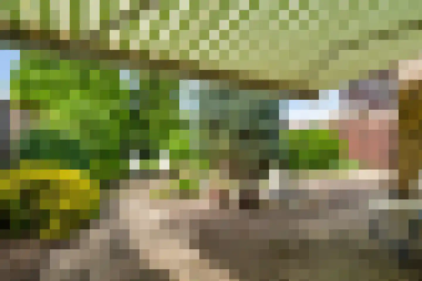 Maasbrachterweg 75 Linne thumbnail 37
