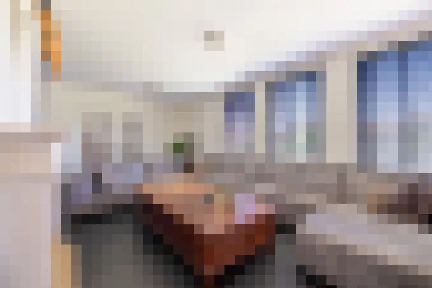 Maasbrachterweg 83 Echt thumbnail 10