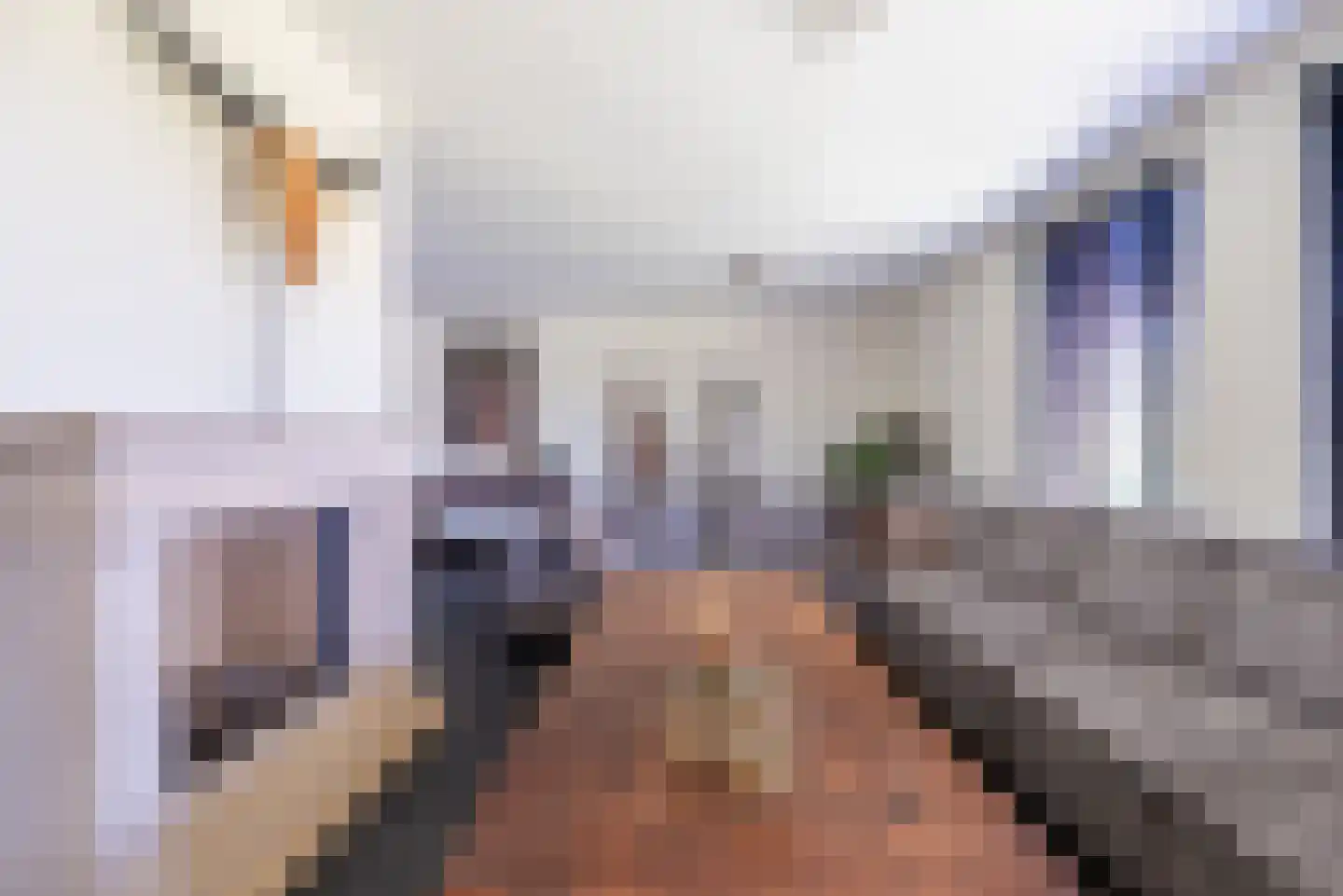Maasbrachterweg 83 Echt thumbnail 11
