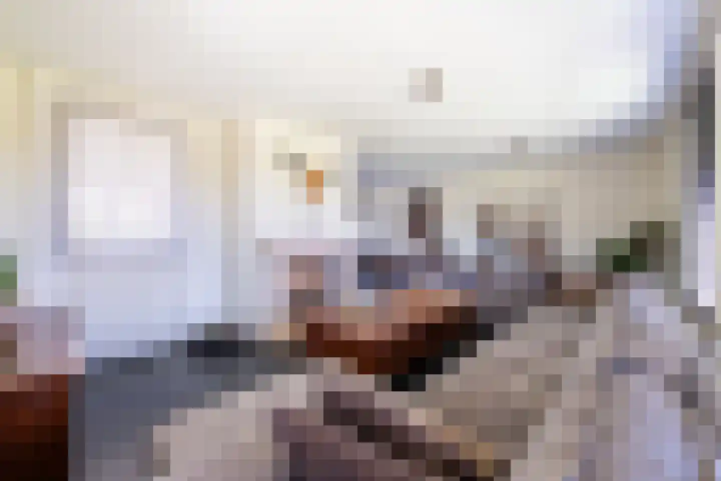 Maasbrachterweg 83 Echt thumbnail 12