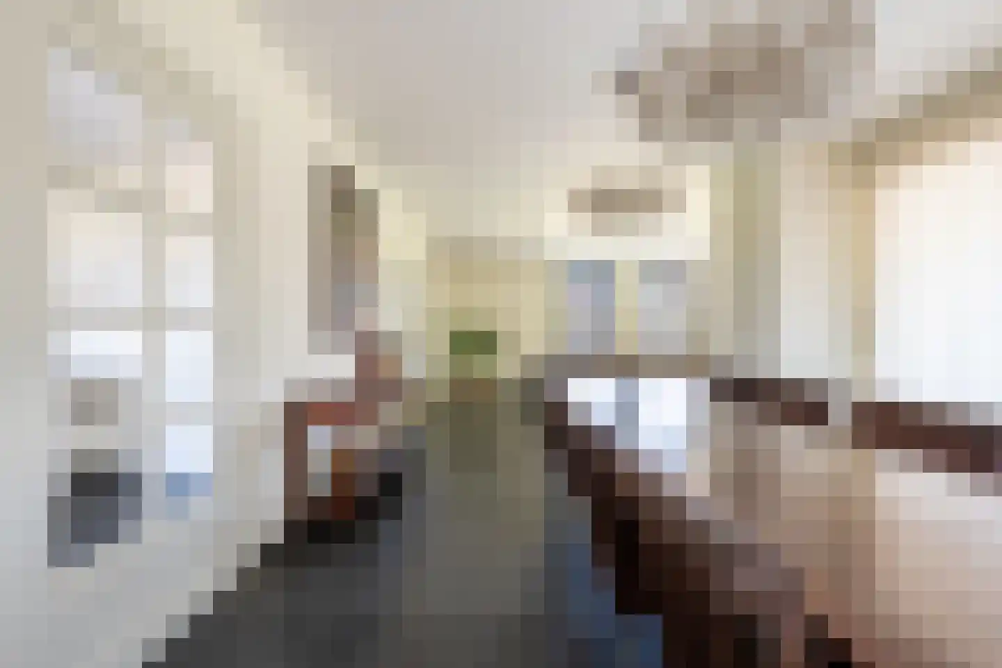 Maasbrachterweg 83 Echt thumbnail 14