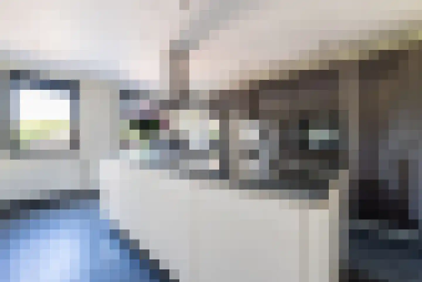Maasbrachterweg 83 Echt thumbnail 16