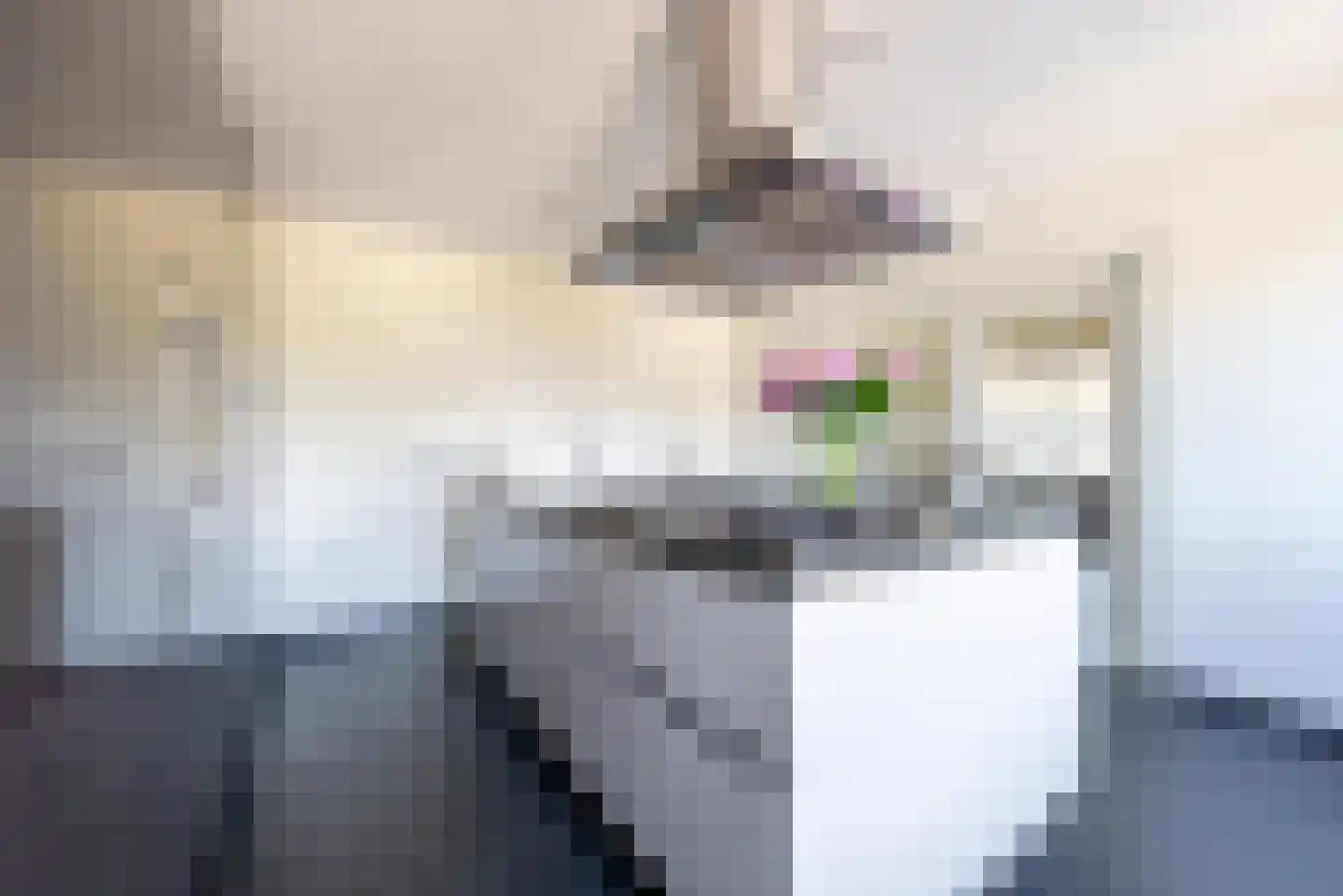 Maasbrachterweg 83 Echt thumbnail 17