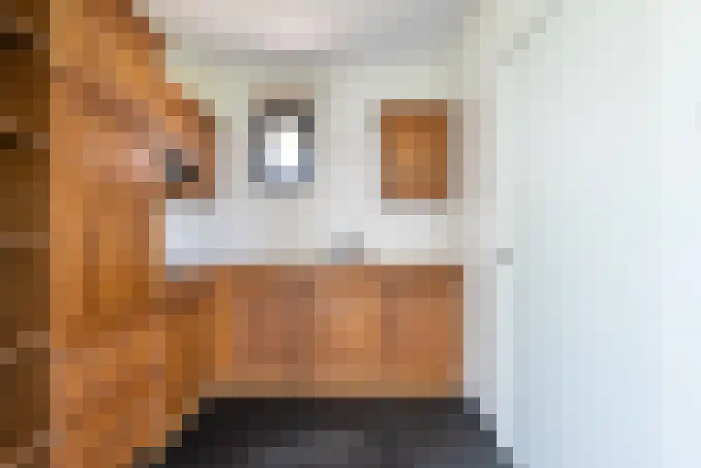 Maasbrachterweg 83 Echt thumbnail 19