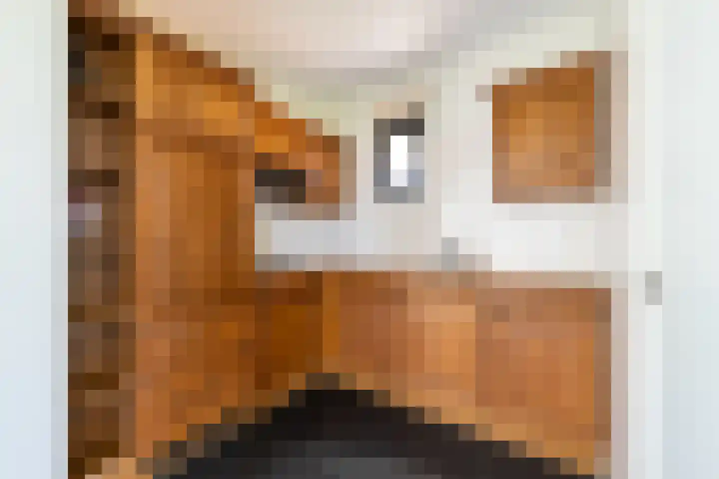 Maasbrachterweg 83 Echt thumbnail 20