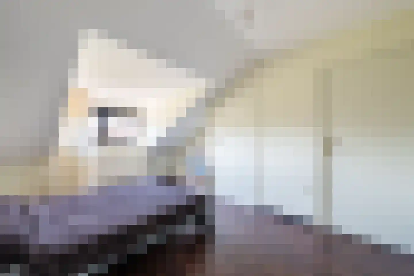 Maasbrachterweg 83 Echt thumbnail 32